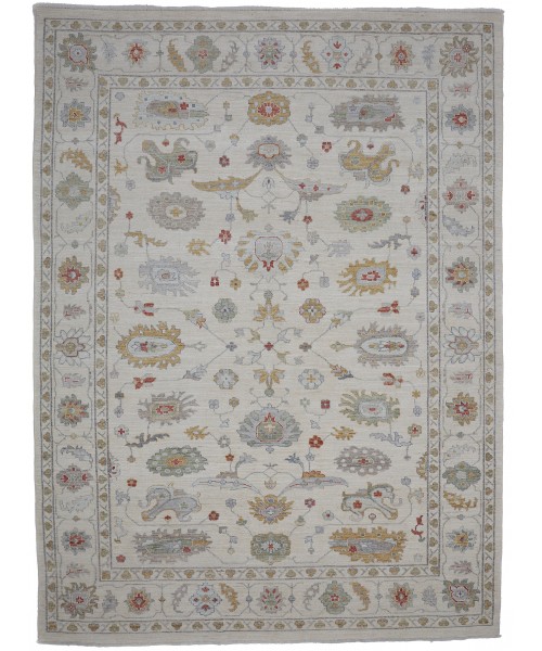 48794 Ziegler Pakistani 